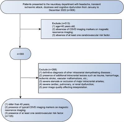 Deep medullary veins score is associated with atrophy in patients with cerebral small vessel disease